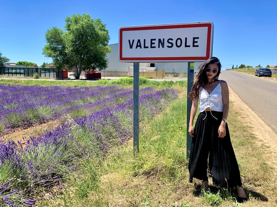 普羅旺斯薰衣草 Valensole 拍照打卡景點攻略 南法自由行 法國 南法普羅旺斯薰衣草 Valensole 拍照景點