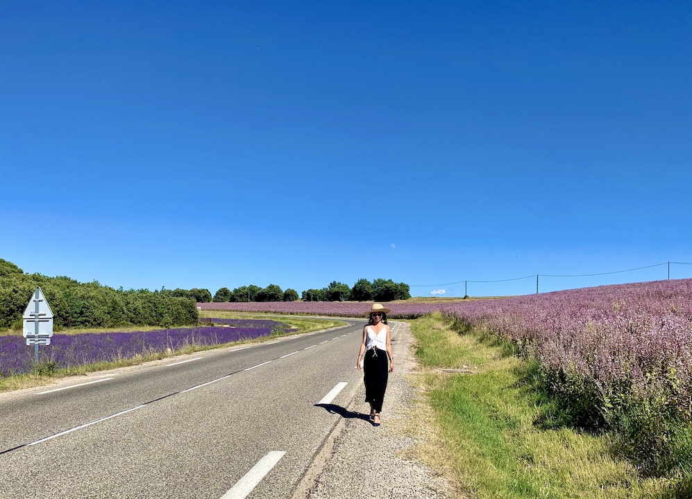 普羅旺斯薰衣草 Valensole 拍照打卡景點攻略 南法自由行 法國 普羅旺斯自由行 Valensole