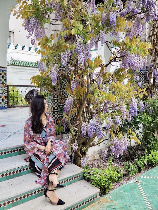 巴黎大清真寺 | 在滿園的紫藤花裡體驗異國風情 巴黎大清真寺 在滿園的紫藤花裡體驗異國風情