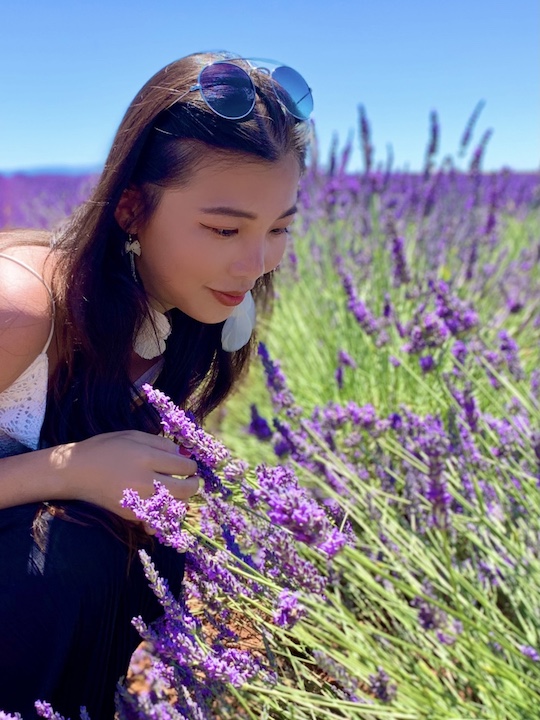 普羅旺斯薰衣草 Valensole 拍照打卡景點攻略 南法自由行 法國 南法自由行 普羅旺斯薰衣草 Valensole