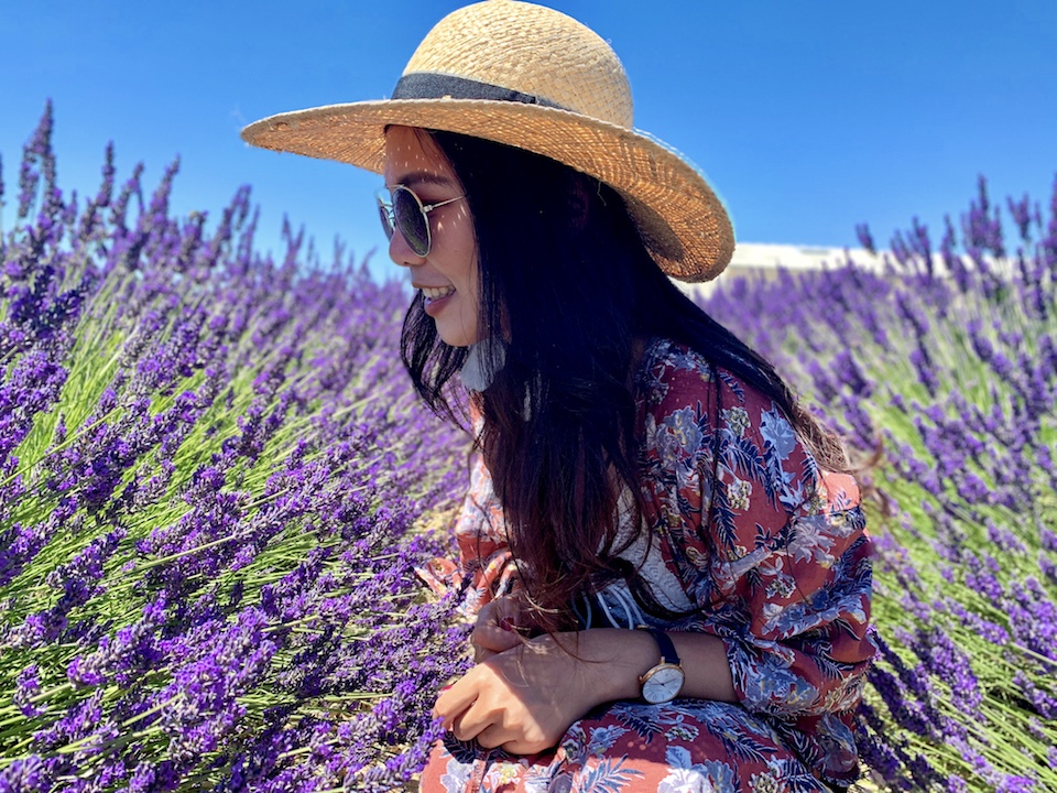 普羅旺斯薰衣草 Valensole 拍照打卡景點攻略 南法自由行 法國 南法普羅旺斯薰衣草 Valensole 旅遊