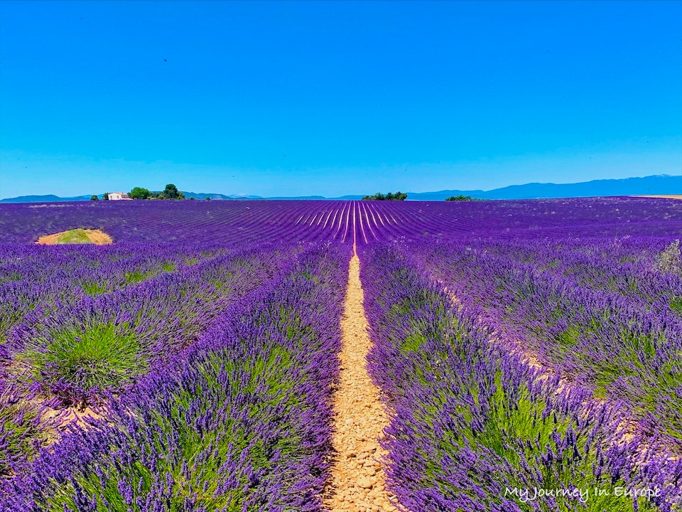 普羅旺斯薰衣草 Valensole 拍照打卡景點攻略 南法自由行 法國 南法自由行 普羅旺斯薰衣草 Valensole