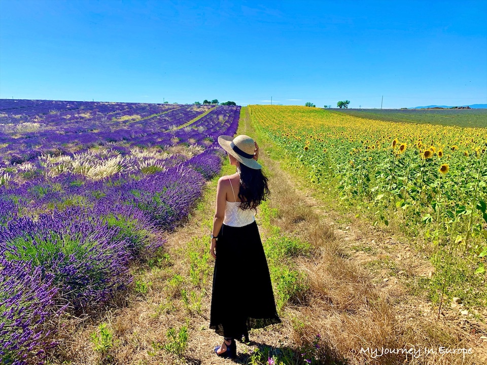 普羅旺斯薰衣草 Valensole 拍照打卡景點攻略 南法自由行 法國旅遊 南法花海 普羅旺斯薰衣草 Valensole