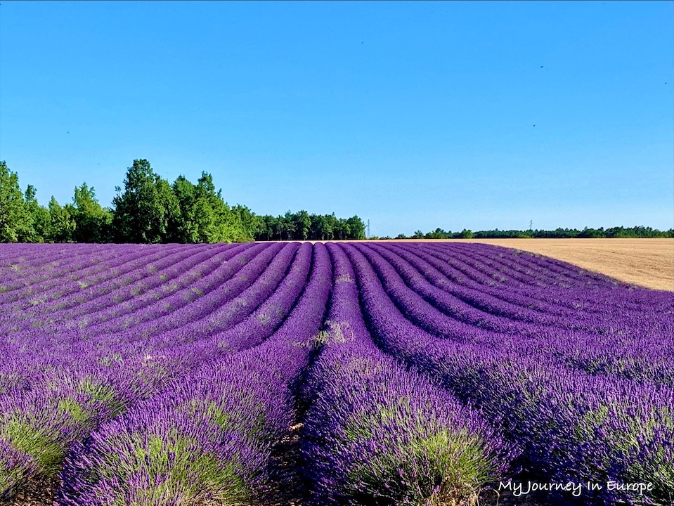 普羅旺斯薰衣草 Valensole 拍照打卡景點攻略 南法自由行 法國 南法旅遊 普羅旺斯薰衣草 Valensole 自由行行程推薦