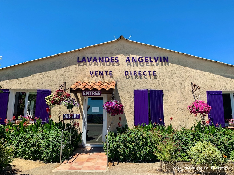 普羅旺斯薰衣草 Valensole 拍照打卡景點攻略 南法自由行 法國 南法 絕美 普羅旺斯薰衣草 Valensole 旅行在歐洲 lavandes angelvin