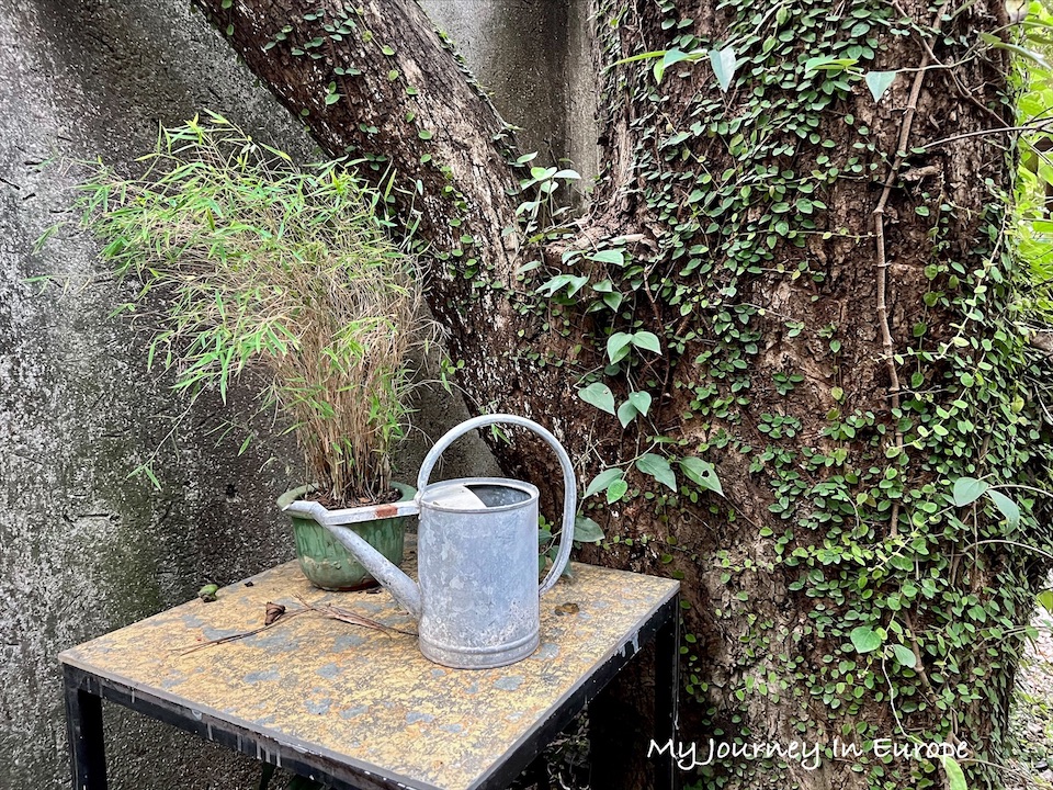 竹北咖啡廳 | 厚食聚落,隱藏在都市裡的森林咖啡館 竹北特色咖啡廳推薦 厚食聚落