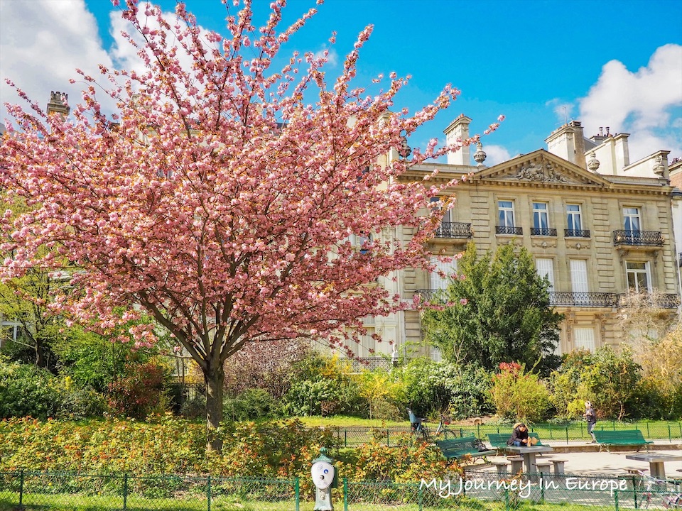巴黎賞櫻公園 | 蒙梭公園 Parc Monceau,巴黎人的休閒去處 巴黎賞櫻公園 蒙梭公園 Parc Monceau 粉色櫻花