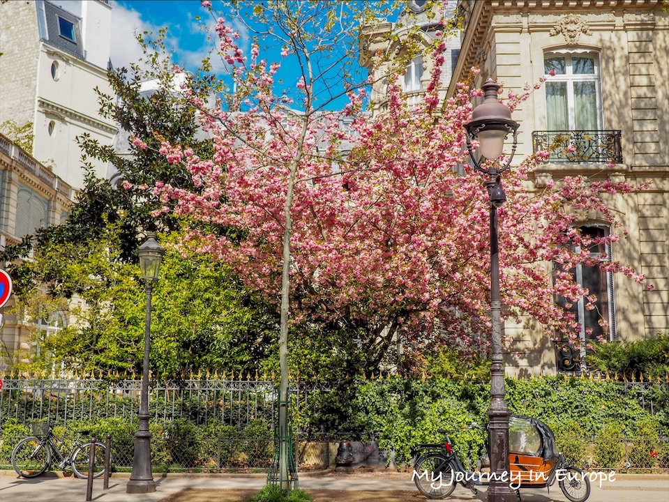 巴黎賞櫻公園 | 蒙梭公園 Parc Monceau,巴黎人的休閒去處 凱旋門周邊公園 巴黎賞櫻公園 蒙梭公園 Parc Monceau