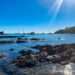 法國南部海岸城市 | Collioure 地中海沿岸的陽光與沙灘 法國旅遊 Collioure 南法一日遊 地中海岸度假