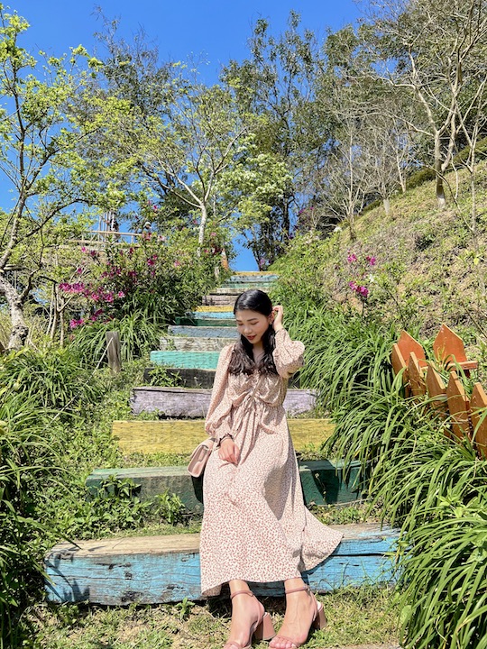 橙香森林 | 網美必去超人氣苗栗景點,好拍又好玩的橘子園 苗栗網美打卡景點