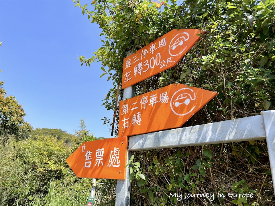 橙香森林 | 網美必去超人氣苗栗景點,好拍又好玩的橘子園 苗栗景點推薦 橙香森林