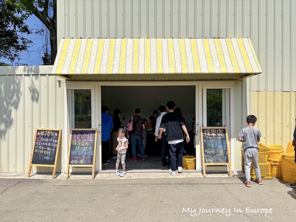 橙香森林 | 網美必去超人氣苗栗景點,好拍又好玩的橘子園 苗栗採橘子體驗