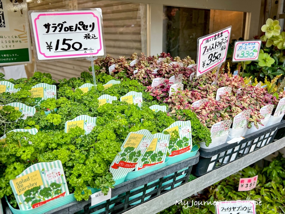 黑門市場 | 日本大阪美食之旅,大啖鰻魚、河豚、扇貝 大阪黑門市場新鮮花束