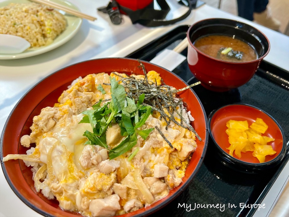 天保山大摩天輪 +購物中心,大阪風景、美食一次滿足 日本丼飯