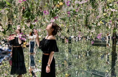 東京 teamLab Planets TOKYO 花園