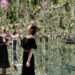 東京豐洲 teamLab Planets TOKYO 超美沉浸式光影美術館 東京 teamLab Planets TOKYO 花園