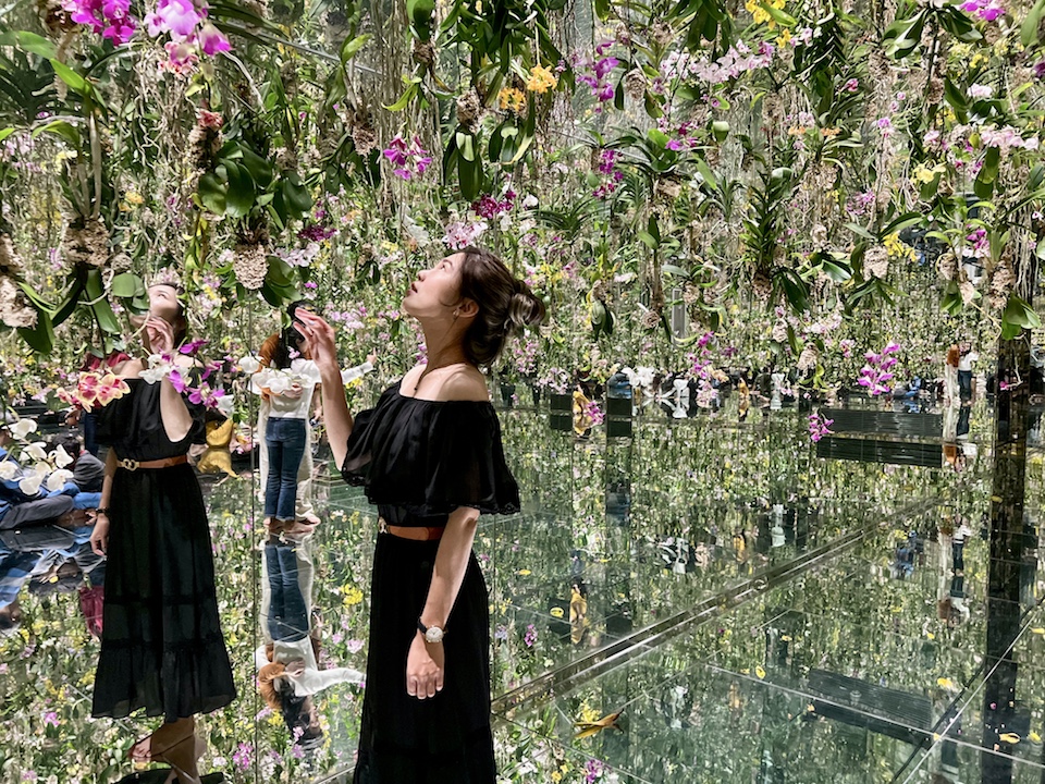 東京豐洲 teamLab Planets TOKYO 超美沉浸式光影美術館 東京 teamLab Planets TOKYO 花園