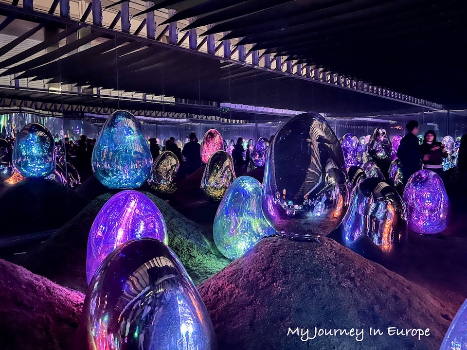 東京豐洲 teamLab Planets TOKYO 超美沉浸式光影美術館 東京豐洲 teamLab Planets TOKYO