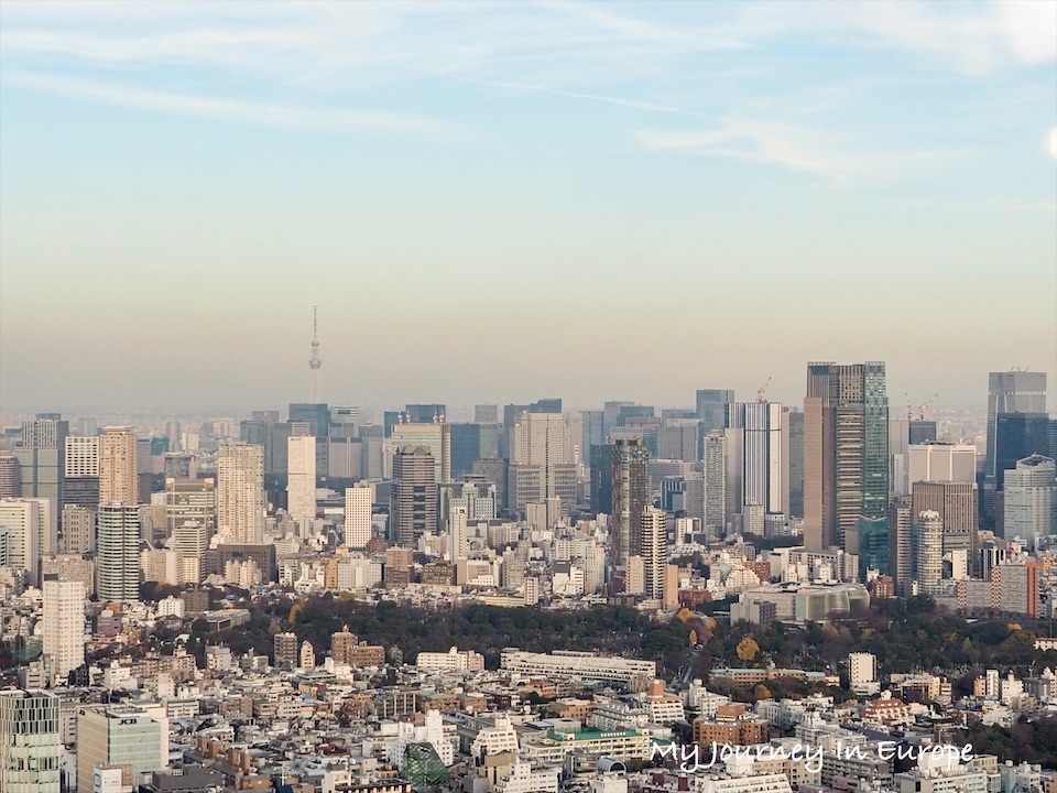 澀谷展望台 Shibuya Sky 眺望富士山、晴空塔,欣賞東京日夜景 東京美景