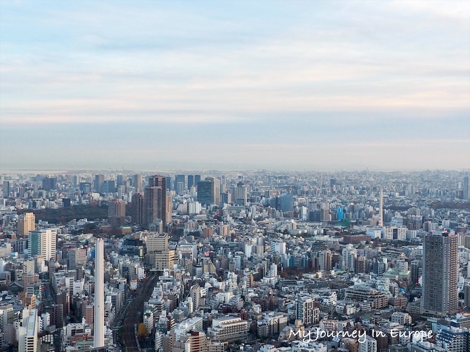 澀谷展望台 Shibuya Sky 眺望富士山、晴空塔,欣賞東京日夜景 東京日景
