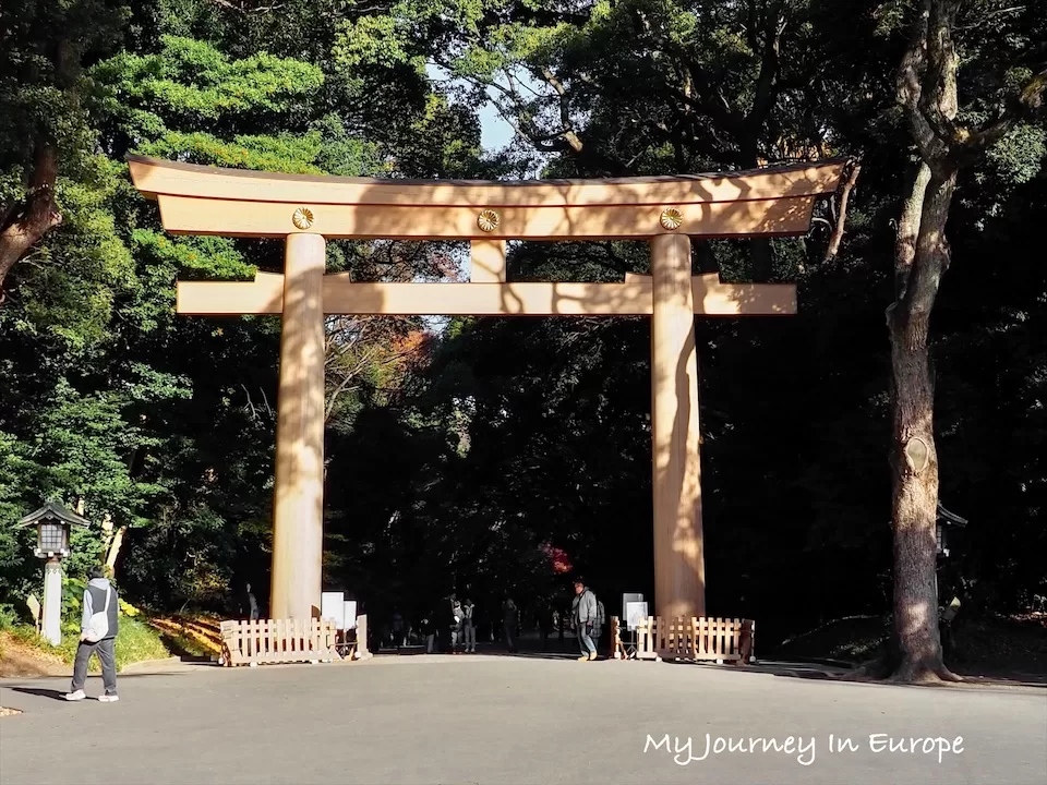 明治神宮 | 日本東京必去景點,森林裡的神宮,交通、參觀攻略介紹 明治神宮 鳥居