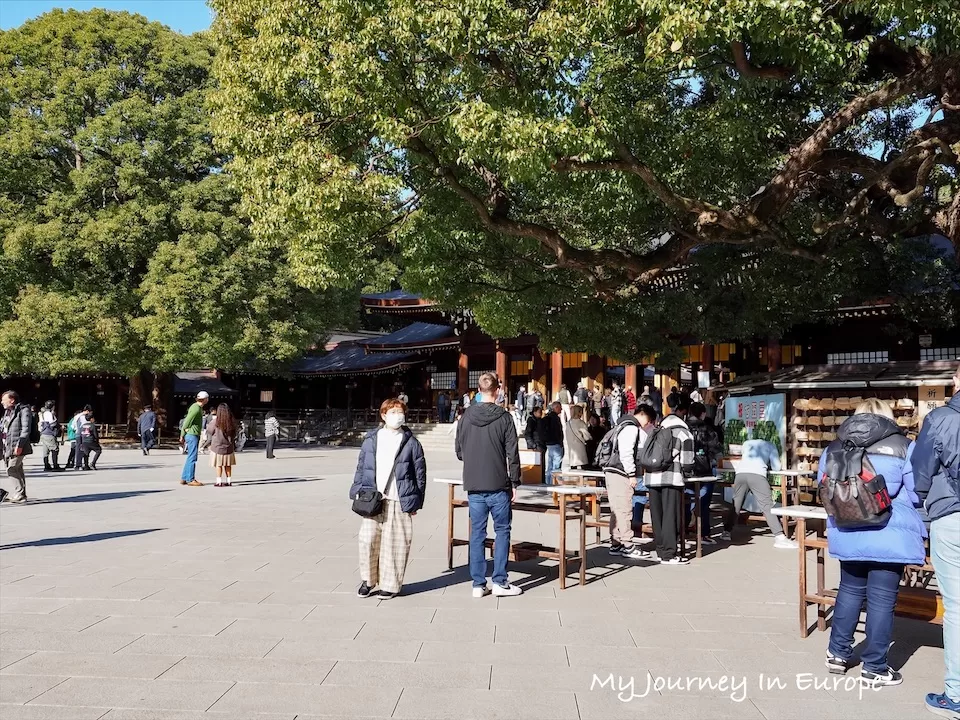 明治神宮 | 日本東京必去景點,森林裡的神宮,交通、參觀攻略介紹 明治神宮